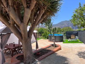 a patio with a tree and a table and chairs at Villa Almagre in Gáldar