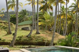 a resort with a swimming pool and palm trees at Villa 2 Altomar in Palomino