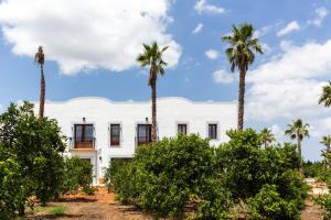 a white house with palm trees in front of it at Villa Monsalva in Monte San Miguel