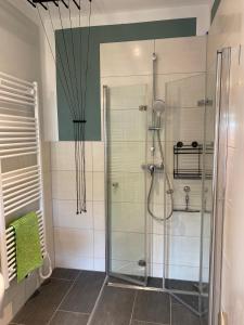 a shower with a glass door in a bathroom at Zum Kölpiensee in Peenemünde +6 photos