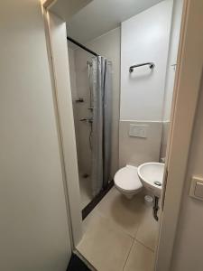 a bathroom with a toilet and a shower and a sink at Menzel Appartment W1 in Beckingen