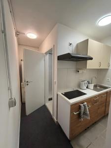 a small kitchen with a sink and a stove at Menzel Appartment W1 in Beckingen