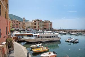 a group of boats docked in a harbor with buildings at Comfort a 5 Minuti Dal Mare in Camogli