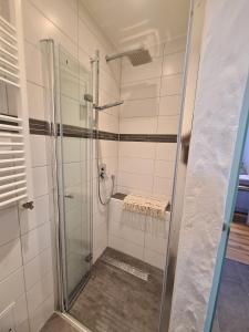 a shower with a glass door in a bathroom at Haus Waldstein Kraxler Single in Weißenstadt +16 photos