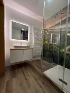 a bathroom with a sink and a glass shower at Fewo im sonnigen Kaiserstuhl in Endingen +22 photos