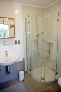 a bathroom with a glass shower and a sink at Ferienwohnung Im Schiller in Wiesenbronn +7 photos