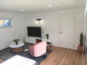 a living room with a tv and a pink chair at Maia House da Piscina in Folgosa