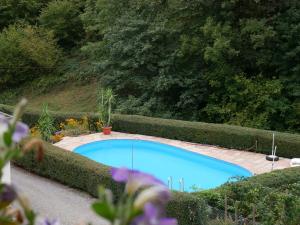 ein Swimmingpool in einem Garten mit Büschen in der Unterkunft Ferienwohnung Eulennest in Wolfach
