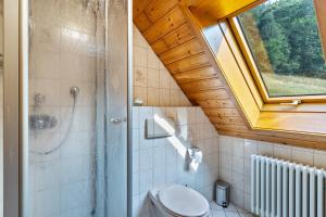 a bathroom with a shower and a toilet with a window at Ferienhaus Gießler in Nordrach +21 photos