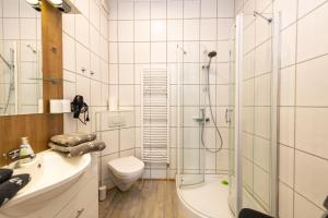 a bathroom with a shower and a toilet and a sink at Ferienwohnungen Wiese - Nickel 2 in Arnis