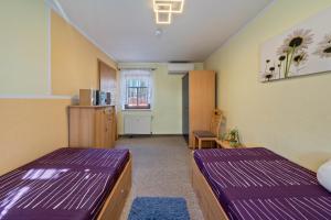 two beds in a room with purple sheets at Pillnitzer Schlossblick in Dresden