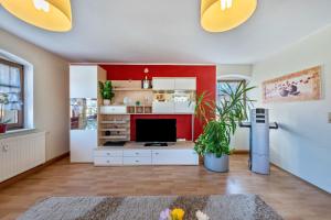 a living room with a tv and a red wall at Pillnitzer Schlossblick in Dresden +17 photos