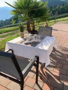 a white table and chair on a patio with a palm tree at Eichernhof Apartment Apfelblüte in Verano