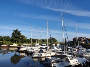 a bunch of boats docked in a harbor at Maison Ô'5 Avec Terrasse in Lanton