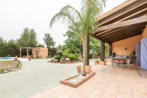 eine Terrasse mit einem Tisch und einer Palme in der Unterkunft Villa Laforge in Carmona
