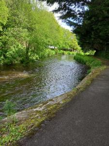 a river next to a road and some trees at Townhouse in Castleisland