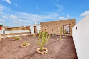 a courtyard with cactuses in front of a building at Casa Rural Sajoná in Tiscamanita