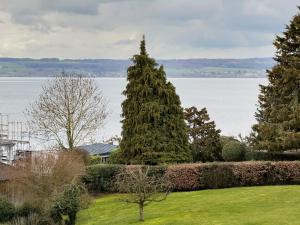 two large trees in a yard next to the water at Ferienappartement Pauli in Hagnau