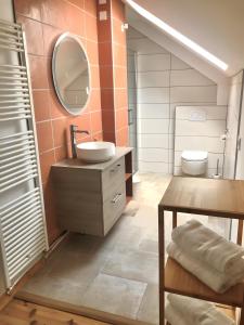 a bathroom with a sink and a mirror and a toilet at Gite Fleur De Miel in Saffloz +23 photos