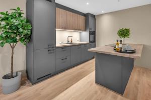 a kitchen with gray cabinets and a potted plant at Sunny Central in Kristiansand