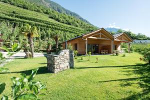 a house in a vineyard next to a mountain at Pixnerhof - Ferienwohnung Gala in Kastelbell-Tschars