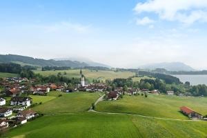 a small village in a green field with a body of water at Landliebe – Seenähe & Grüntenblick in Petersthal