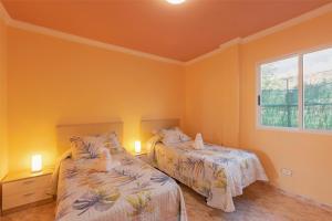 two beds in a room with yellow walls and a window at clemente house,private pool in Arafo +15 photos