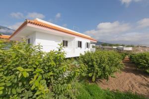 a white house in a field of bushes at clemente house,private pool in Arafo