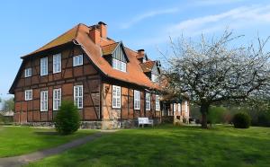 a large brick building with a tree in front of it at Gutshaus Benckendorf - Wohnung Erde in Dassow