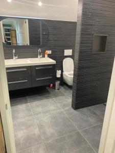 a bathroom with a sink and a toilet and a mirror at Vakantiewoning Op de Woerd in Aalten +14 photos