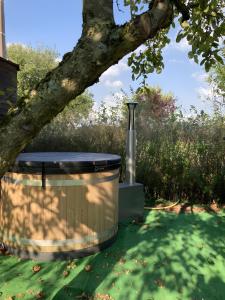a hot tub in the shade of a tree at Le Kota Du Paradou in Givet +4 photos