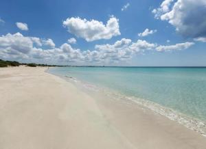 a view of a beach with the ocean at Villa Tramonto Ionico Torre Lapillo in Torre Lapillo