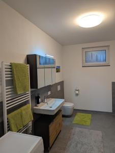 a bathroom with a sink and a toilet at Schiller´s Urban Escape in Freudenstadt +20 photos