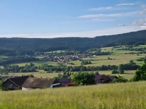 a small town in the middle of a green field at Regenhäusl Waldbach in Arrach