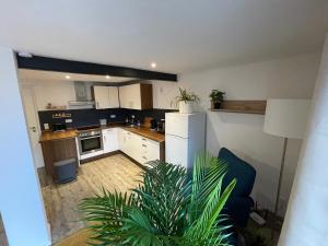 a kitchen with white cabinets and a potted plant at Ferienwohnung Happynest in Jena