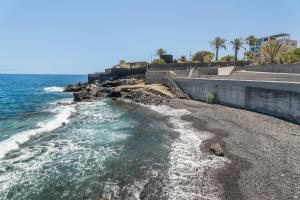 a rocky shore with the ocean and palm trees at Apartamento Calecampo in Candelaria