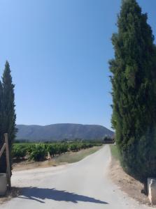 a road with a tree on the side of it at Mas de Maussan in Robion en Luberon