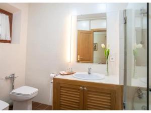 a bathroom with a sink and a toilet and a mirror at Gran Castanyer in Viladrau +26 photos