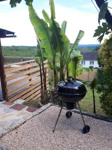 a bbq grill in a garden with a plant at Le Gîte du Chauze in Meyssac