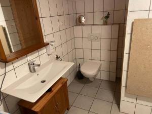 a bathroom with a sink and a toilet at Ferienhaus Winter in Blaibach +18 photos