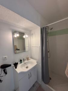 a white bathroom with a sink and a shower at La nuit Douce in Annemasse