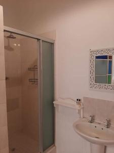 a bathroom with a shower and a sink at De Kothuize 18 in Graaff-Reinet