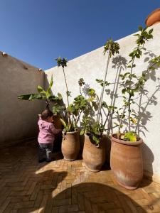 a little child standing next to four large pots with plants at Mirage House in Mirleft
