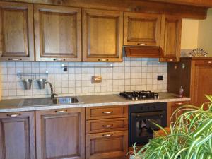 Challand Saint Victor的住宿－梅森德斯查蘭特公寓，厨房配有木制橱柜、水槽和炉灶。