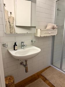 a bathroom with a sink and a mirror at Aarebar Rooms in Solothurn