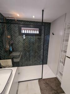 a shower with a glass door in a bathroom at U Flenu sea view in San-Martino-di-Lota +13 photos