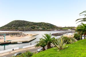 a view of a river with a marina and palm trees at Vista Das Estrelas M4 - Terceira in Praia da Vitória