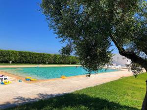a large swimming pool with a tree in the foreground at Bungalow Italia in Otranto