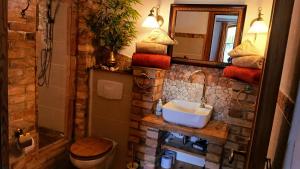 a bathroom with a sink and a toilet and a mirror at Ferienwohnung Sophienhof in Loitz +17 photos
