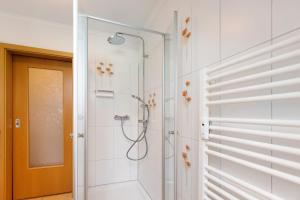 a bathroom with a shower with a glass door at Reif Markelfingen in Radolfzell am Bodensee +9 photos